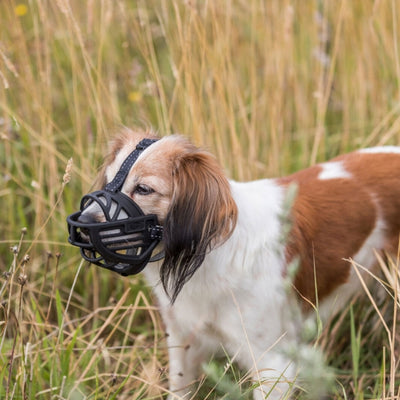 Trixie Maulkorb Muzzle Flex, Gummi S