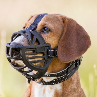Trixie Maulkorb Muzzle Flex, Gummi S